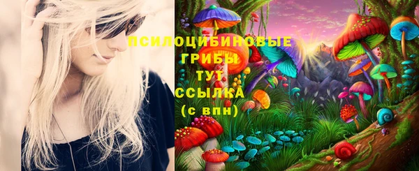 MESCALINE Белокуриха