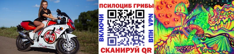 Галлюциногенные грибы Cubensis  Севск 